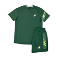 Asics set fully green