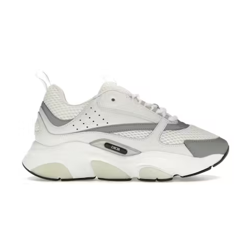 Dior B22 White Silver