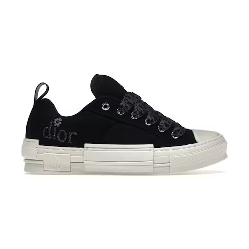 Dior B23 Skater Low Top ERL Black Cotton Canvas