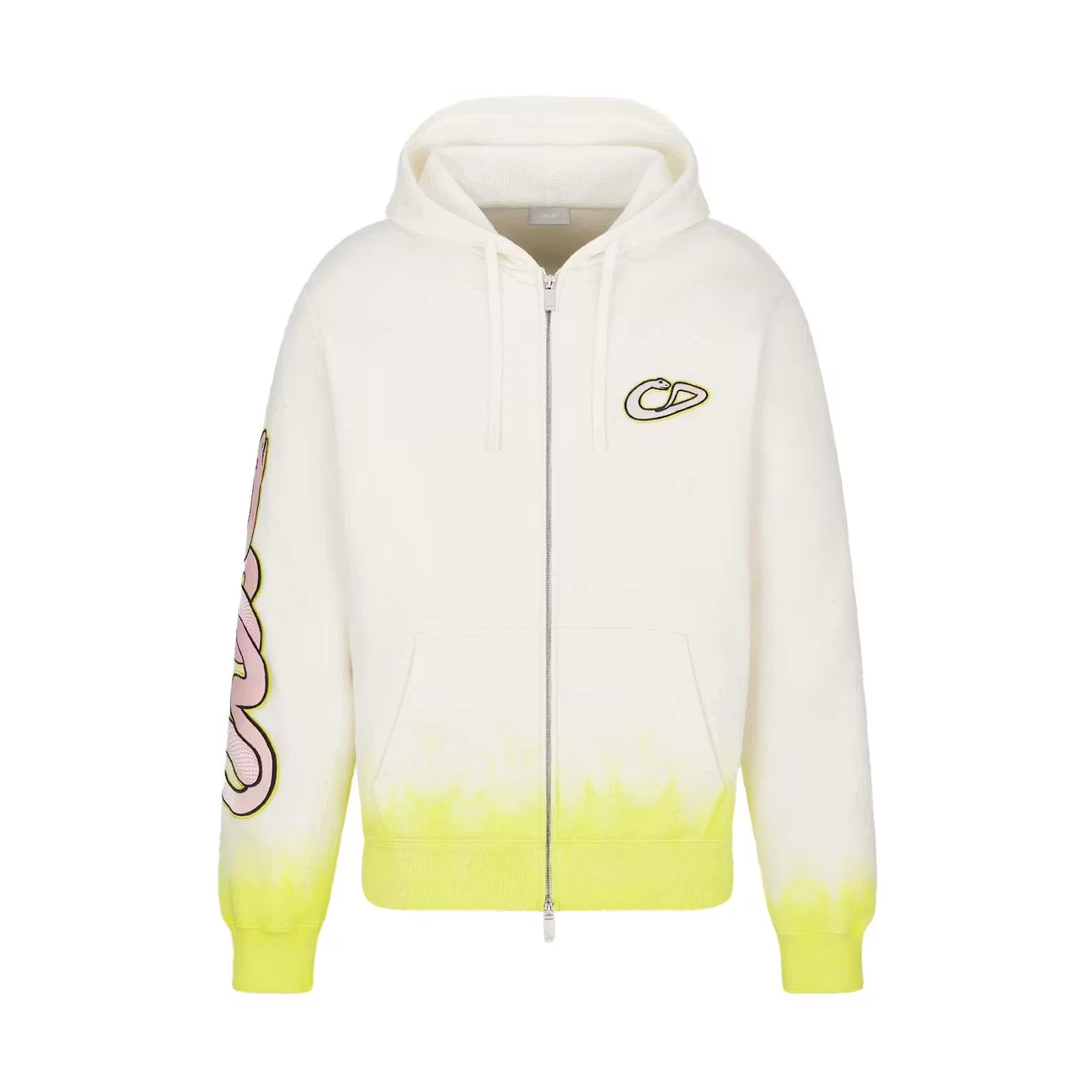 Dior x KAWS Hooded Sweatshirt